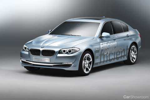 2010 BMW 5