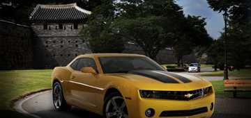 2010 HOLDEN