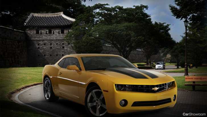 2010 HOLDEN