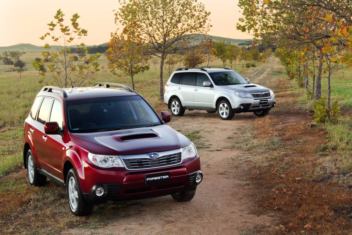 News 2010 Subaru Forester Diesel Launches