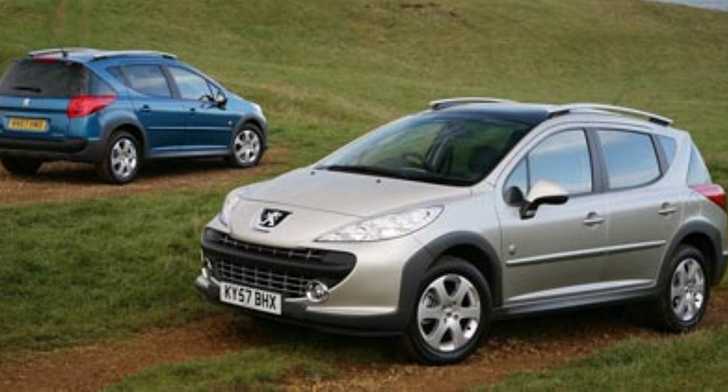 2010 PEUGEOT 207