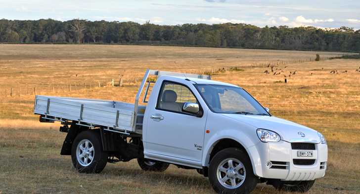 2010 GREAT WALL MOTORS V240