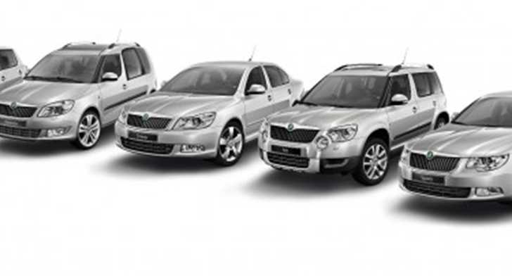 2010 SKODA