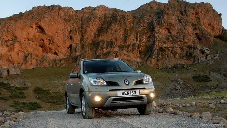 2011 RENAULT