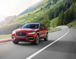 JAGUAR