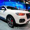 Haval’s Two Beijing Concepts Have Australian Focus