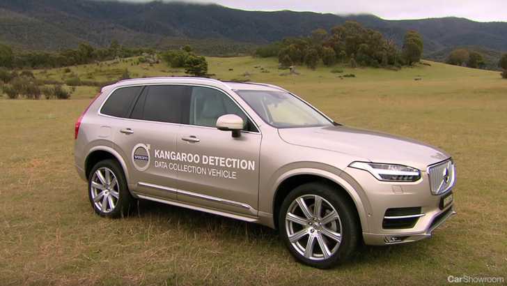Kangaroos Continue To Confuse Volvo