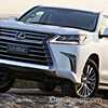 Lexus’ Local Sales Hampered By Stock Shortage
– Gallery