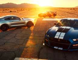Mustang GT500 - Power Reveal