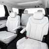Hyundai AU May Field 8-Seat Telluride Circa 2020