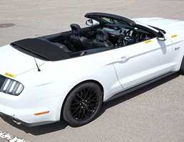 2014 FORD